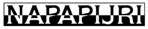 Napapijri_logo-300x60 - Hébène